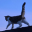 luoposhan.pages.dev favicon